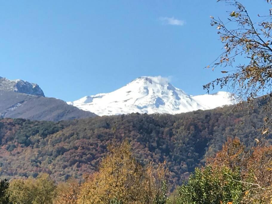 Acogedora Cabana Con Tinaja Libre Para Disfrutar Villa Las Trancas Bagian luar foto