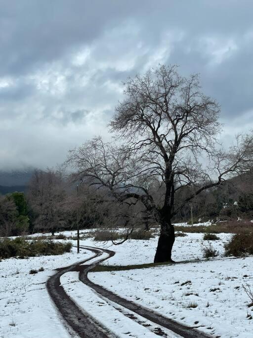 Acogedora Cabana Con Tinaja Libre Para Disfrutar Villa Las Trancas Bagian luar foto